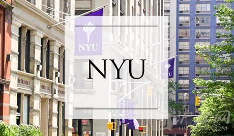 美國紐約大學\已有52人提交申請